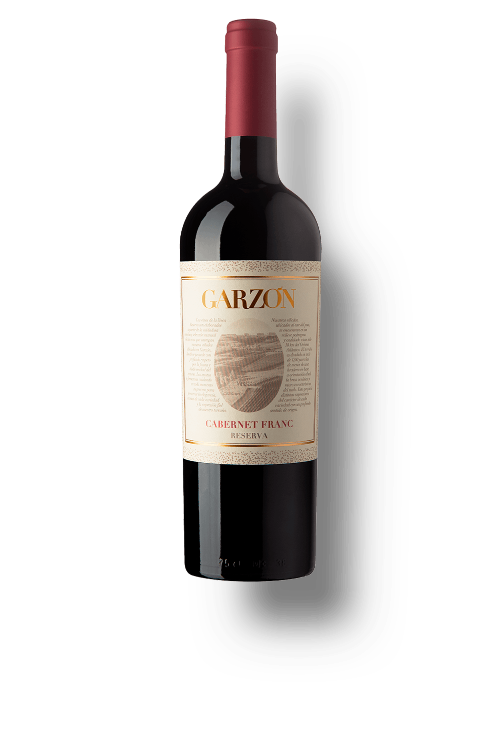 Vinho Bodega Garzon Tinto Seco Uruguai Reserva Cabernet Franc 2023 750ml